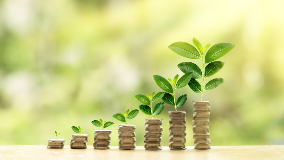 Greenery Emerging From Coin Stacks