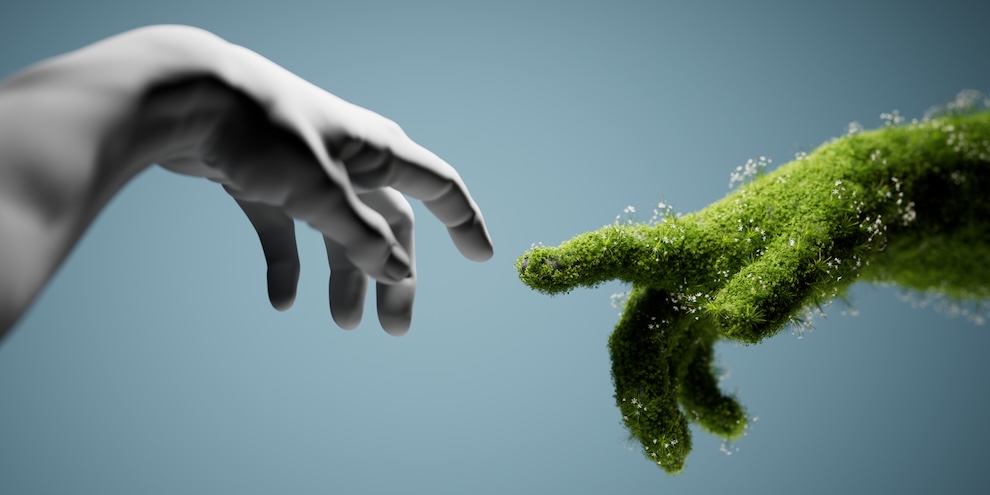 Authentically Approaching Sustainability Key Insights Leaders Should Consider