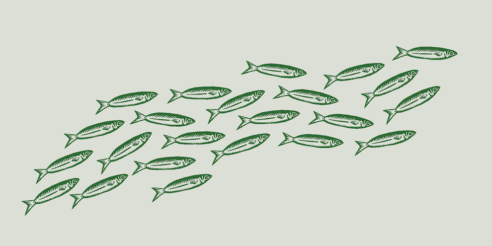 Understanding consumers who aren't buying article image
