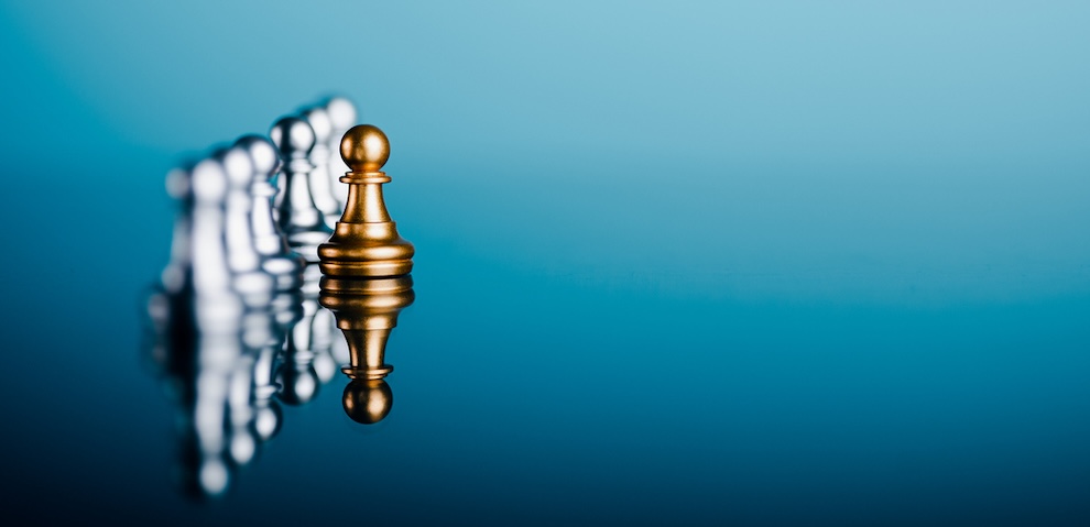 Leadership Employment Differentiation Market Research Diversity