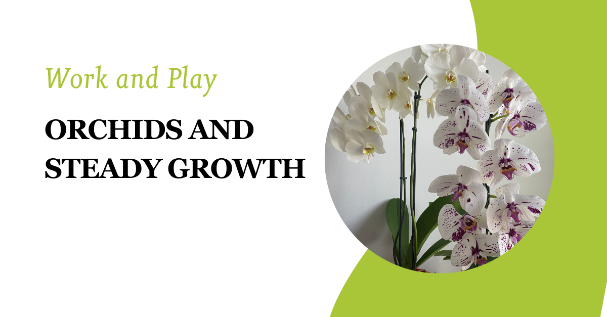 Work Play Research Insights Orchids