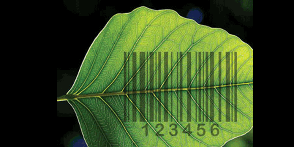 In Case You Missed It... July 2011 article image