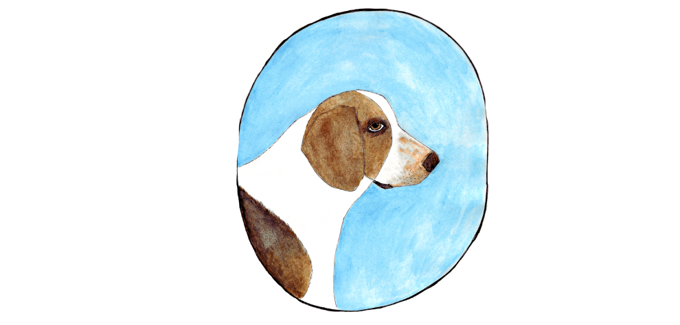 Holly Schroeder Dog