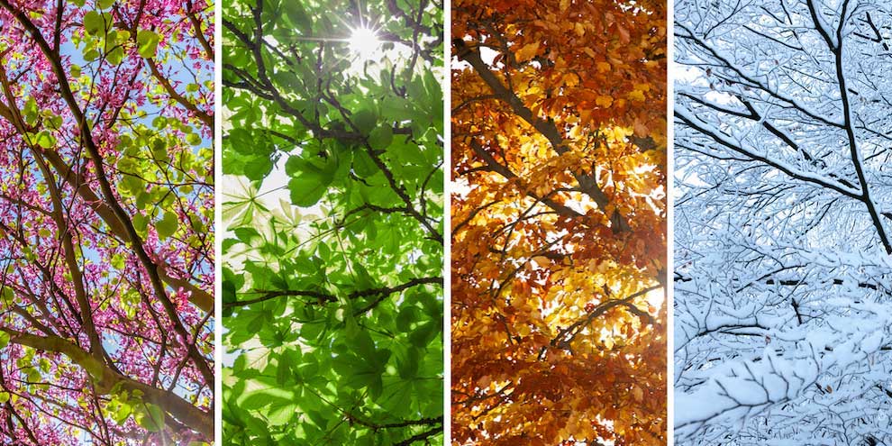 How seasonal data analysis can boost customer engagement article image
