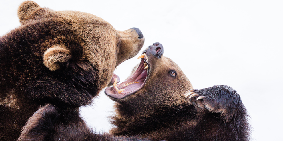 Three tips for constructive confrontation at work article image