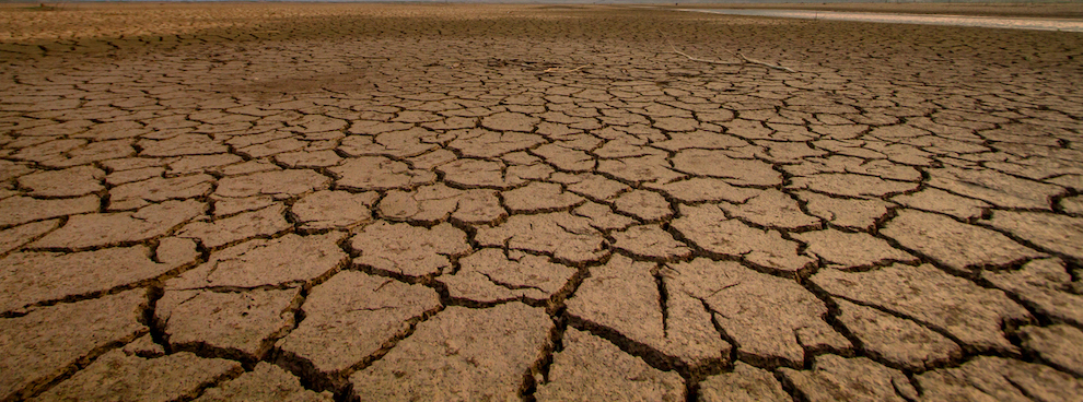 Does the marketing research industry have a quiet quitting problem? article image