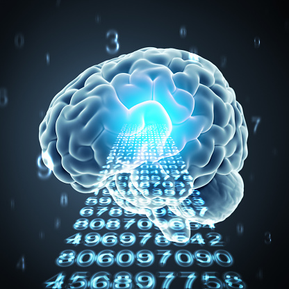 Brain