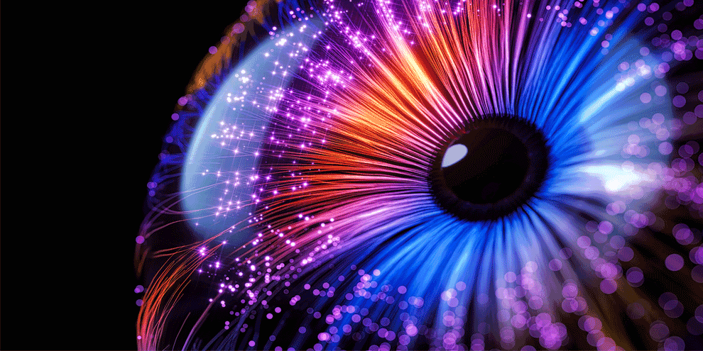 Using Quantitative Lenses To View Web Site User Activity
