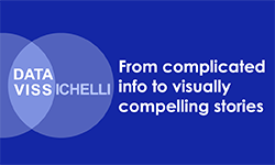 Data Vissichelli LLC logo