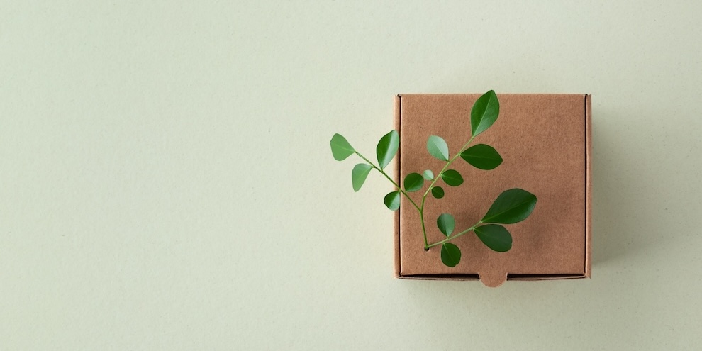 Packaging Redesign Aimed To Emphasize Continuity Along With Sustainability