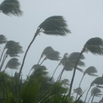 Istock_000064945717_small 150x150