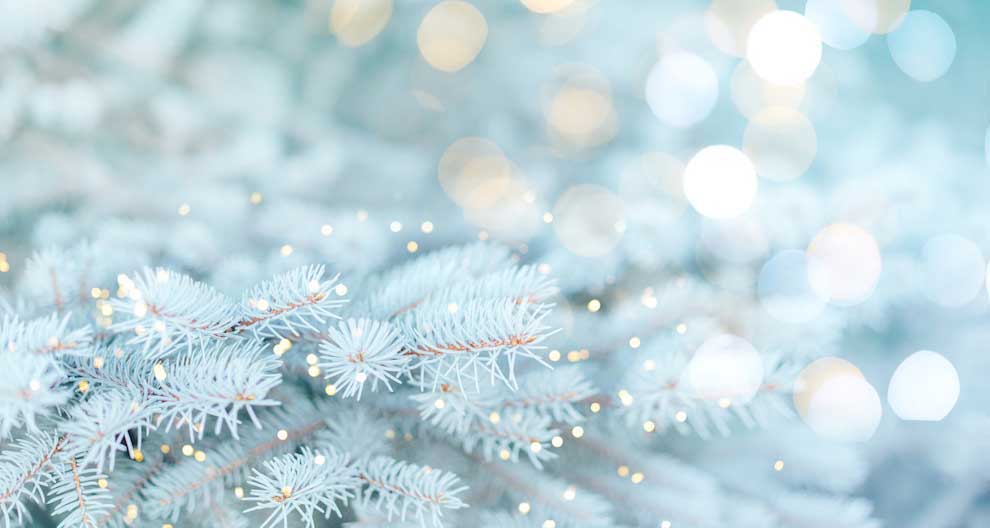 Perksy Webinar: A New Way to Holiday with Mondelēz International, SAP, BWC and Perksy article image