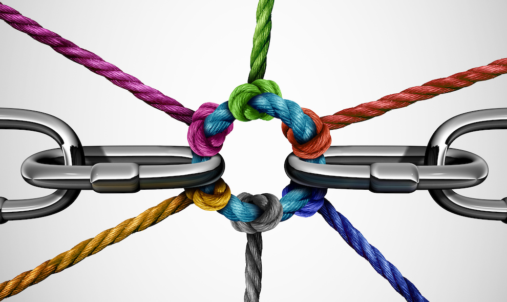 Trust Consumers Brands Marketing Research
