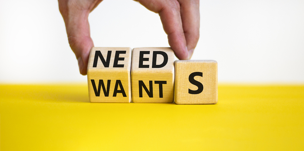 Consumer Needs Vs Wants Holiday Shopping