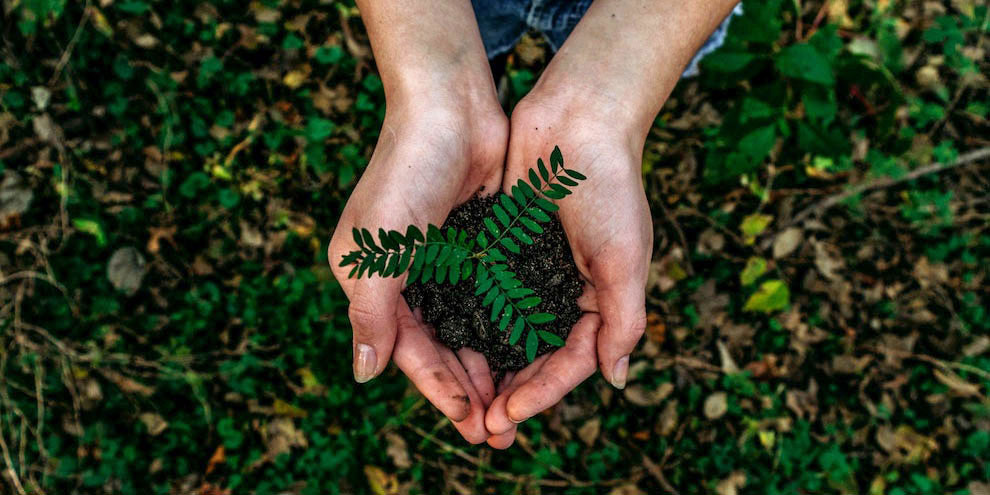 Depoliticizing The Environment And The Five Eco Types