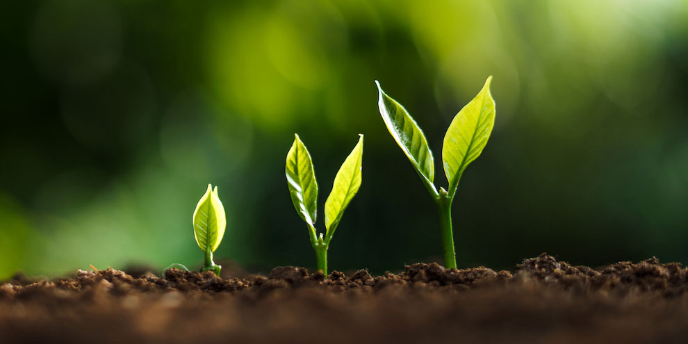 Two-year study tracks increasing consumer interest in plant-based foods article image