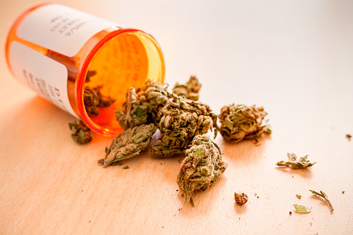Marijuana For Medicinal Purpose