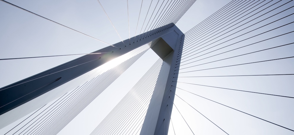 Cultural fluency and inclusive marketing drive sustainable growth article image