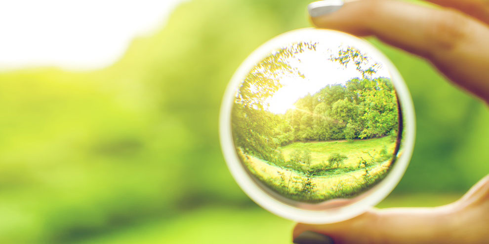 Removing Self Bias When Doing Cross Cultural Research
