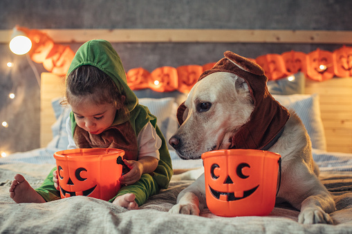 Pet And Child In Costume