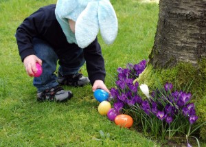 Istock_000012210670_small 300x214