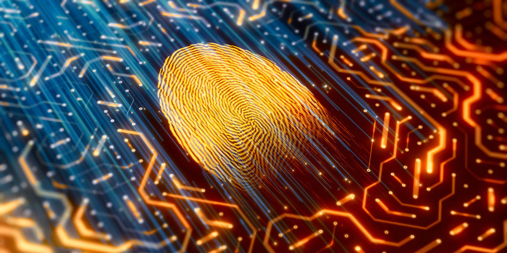 Survey Monitor September October 2023