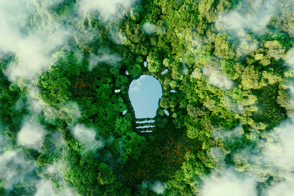 Seeing the forest for the trees: Guiding AI’s role in the research process and business strategy article image
