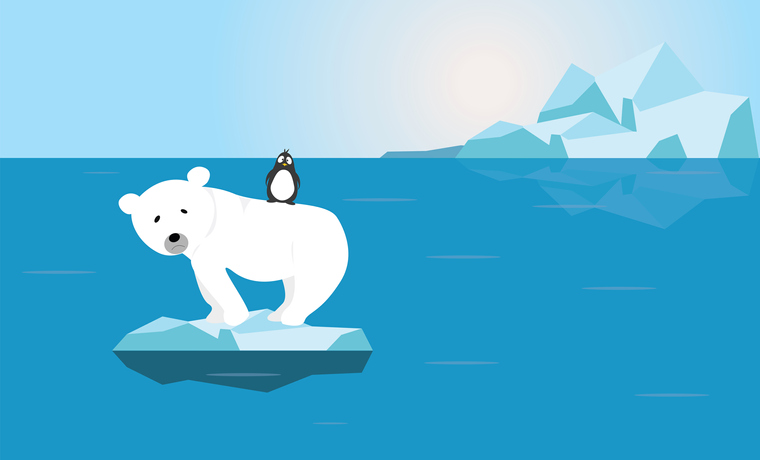 Polar Bear Penguin