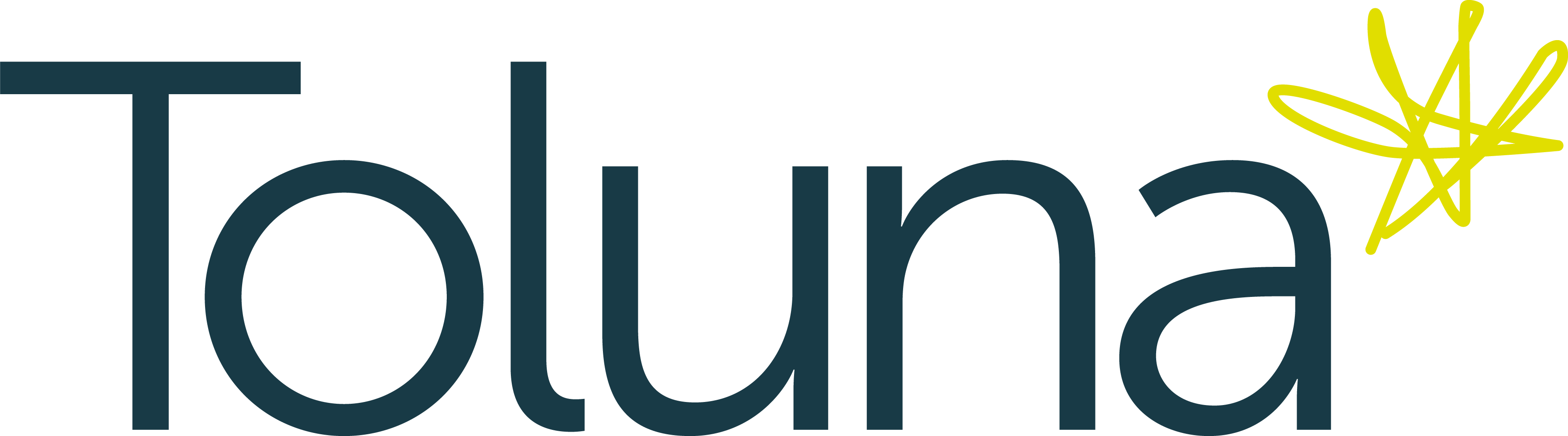 Toluna_corporate_primarylogo_rgb_positive
