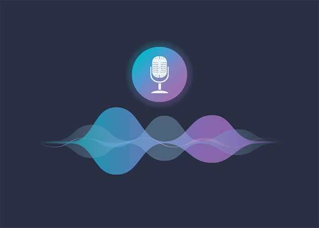 Voice