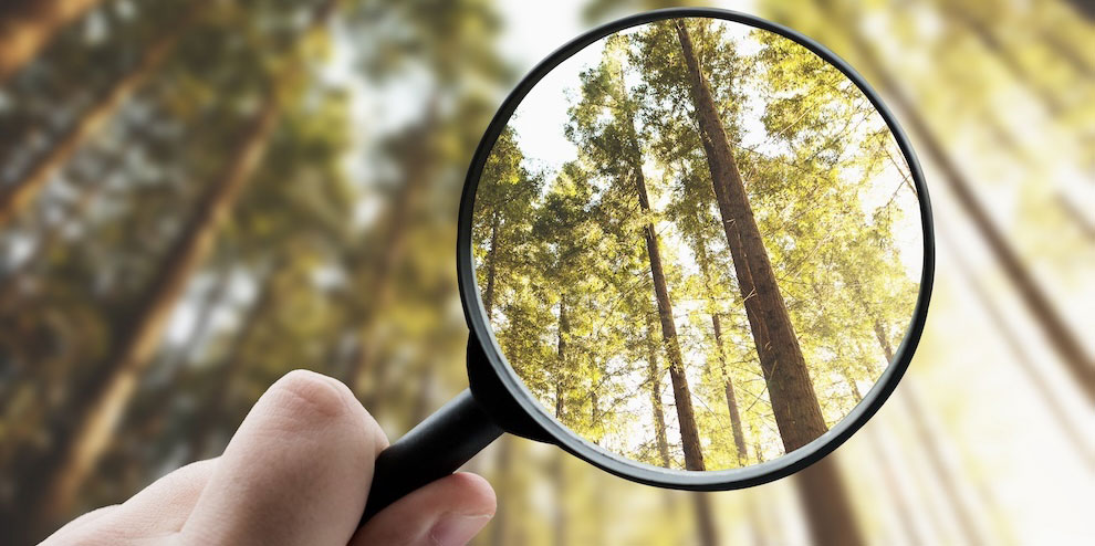 How Research Can Guide The Innovation Process