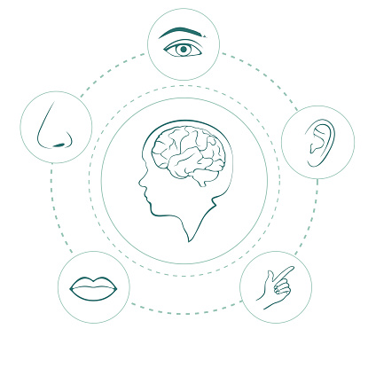 Customer's Senses