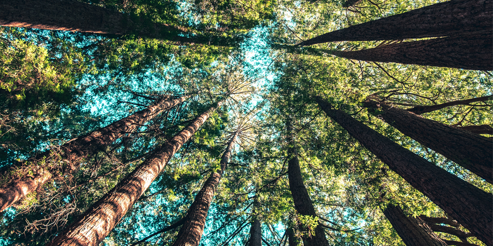 Tips On How Sharing The Big Picture Can Foster A Positive Work Environment